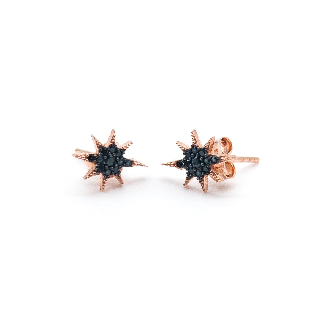 Black Stone Polar Star Silver Earrings