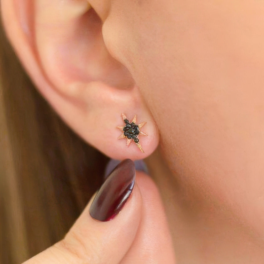 Black Stone Polar Star Silver Earrings