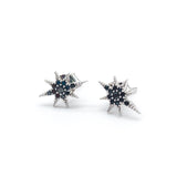 Black Stone Polar Star Silver Earrings